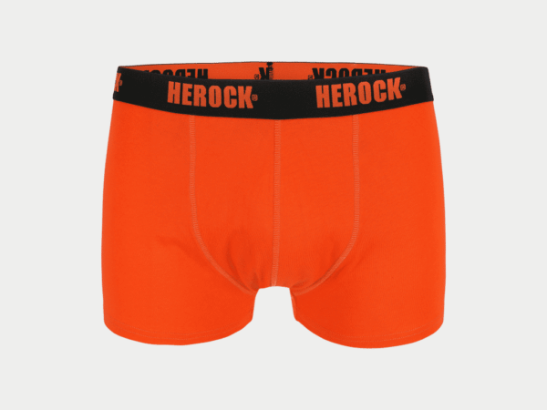 Herock Gorik Aluspesu - foto 6