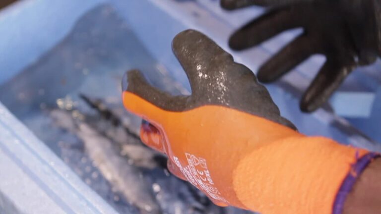 Wonder Grip 338 Thermo Plus Kaitsekinnas - foto 3